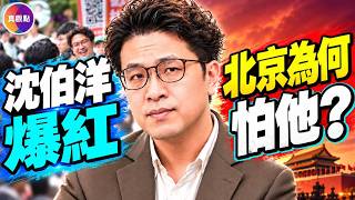 沈伯洋掀起台北「洋流」!民調狂追蔣萬安,北京急了!#真飛 #真觀點 10.10.2026