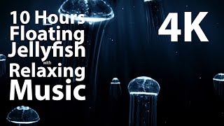 4K Uhd 10 Hour - Floating Jellyfish Relaxing Music - Calm Meditation Nature