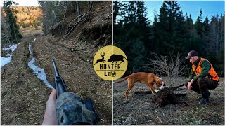 Download Lagu Lov divlje svinje 🌲🐗🌲 ~ Kupres ~ | Wildboar hunting MP3 Download Lagu Lov divlje svinje 🌲🐗🌲 ~ Kupres ~ | Wildboar hunting MP3