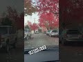 14 AVE #seattle #uberdrive #uber #capitolhillseattle #fall #uberdriver