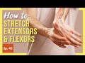 Stretch Your Forearms the Right Way (BECAUSE ANATOMY!)