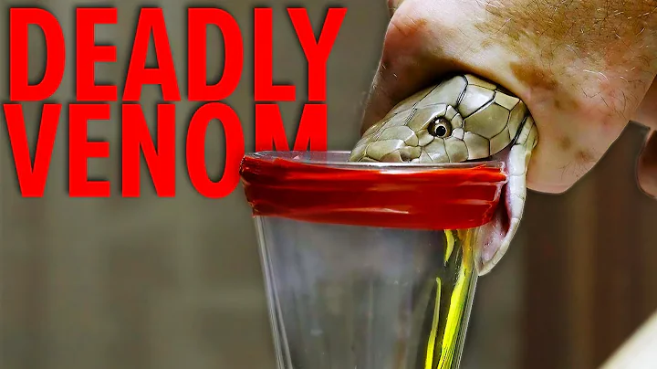 Deadliest Job in the World - Snake Milker Top 10! - DayDayNews