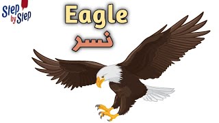 نطق كلمة Eagle نسر 🗣️
