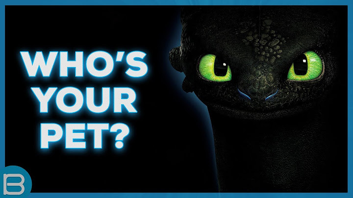 Which Dragon Should You Train?