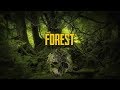Jak nie przetrwać w lesie - The Forest z Ekipą