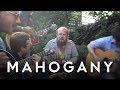 Les savy fav  appetites  mahogany session