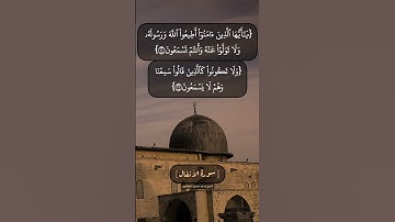 سورة الأنفال الآية ٢٠ الى ٢٣ بصوت الشيخ محمد صديق المنشاوي
