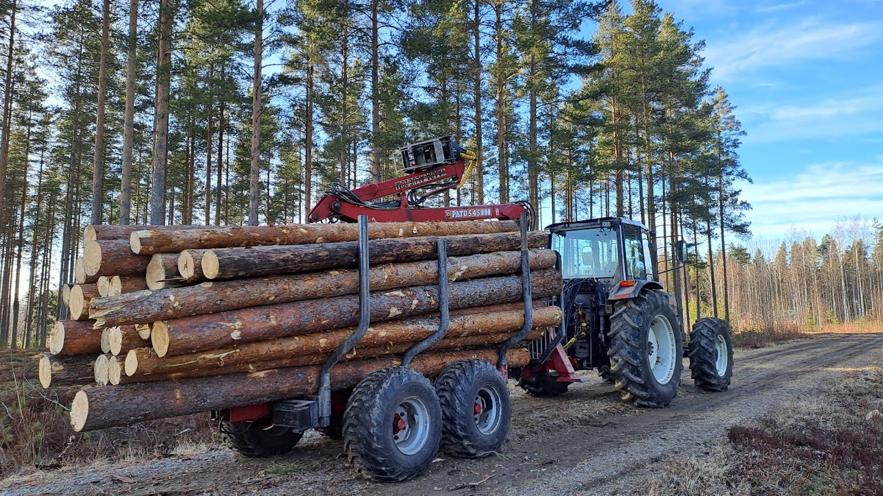 Uusia investointeja sekä viimeset puut laaniin