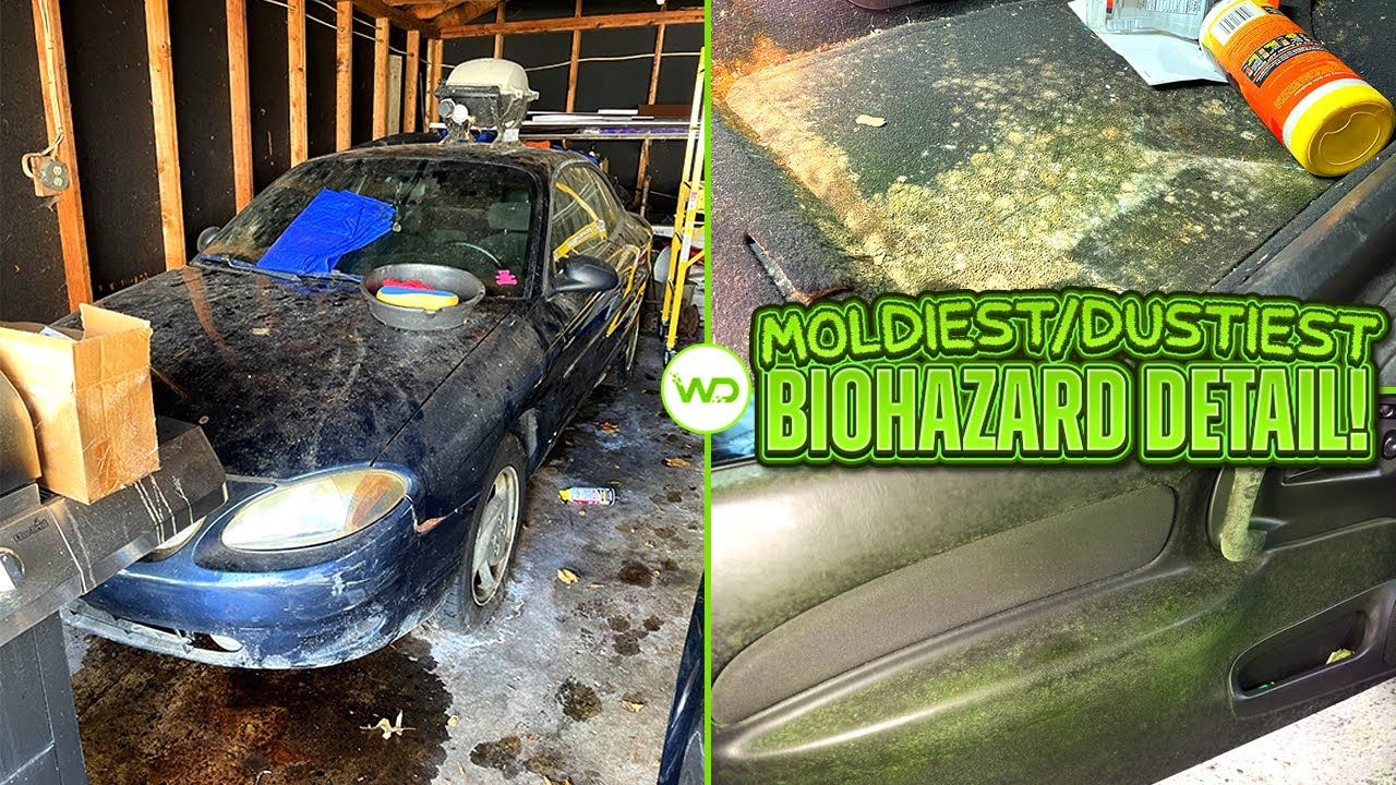 Deep Cleaning the MOLDIEST/DUSTIEST Ford EVER! Satisfying DISASTER Car Detailing