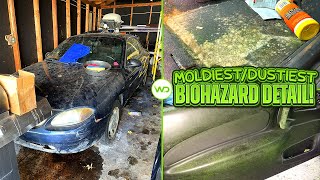 Deep Cleaning the MOLDIEST\/DUSTIEST Ford EVER! | Satisfying DISASTER Car Detailing Transformation