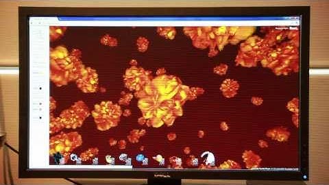 Rhizopods - Molehill 3D Experiment for Adobe Flash Player