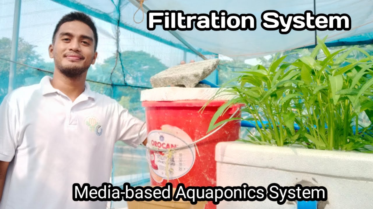 Media-based Aquaponics System: Filtration System - YouTube