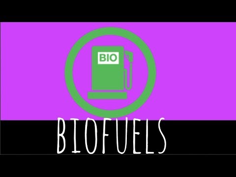 Video: Vilka är nackdelarna med att använda biobränslen?