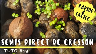 Comment faire du semis direct en hydroponie - Cresson de fontaine - TUTO #19