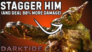 How to stagger monstrosities + why it matters for the BEAST of NURGLE | Darktide