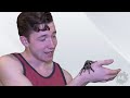 Bug That Eats Your Brains! 5 Weird Animal Facts! - Ep. 12 : AnimalBytesTV