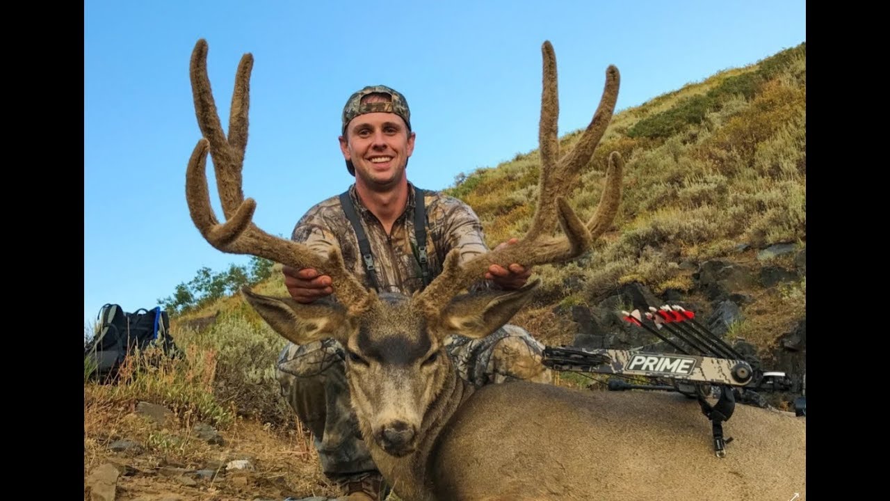 Archery Mule Deer Hunt Idaho 2017 YouTube Archery Mule Deer Hunt Idaho 2017 YouTube