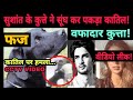 Sushant Singh Rajput dog love | Fudge | animal love | mcd | NOOK POST