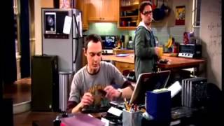 Big Bang Theory - Beste Momente