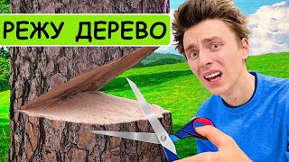 РЕЖУ ДЕРЕВО НОЖНИЦАМИ I НАЙДИ 10 ОТЛИЧИЙ от А4