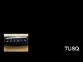 ブリッジピン比較：TUSQとエボニー