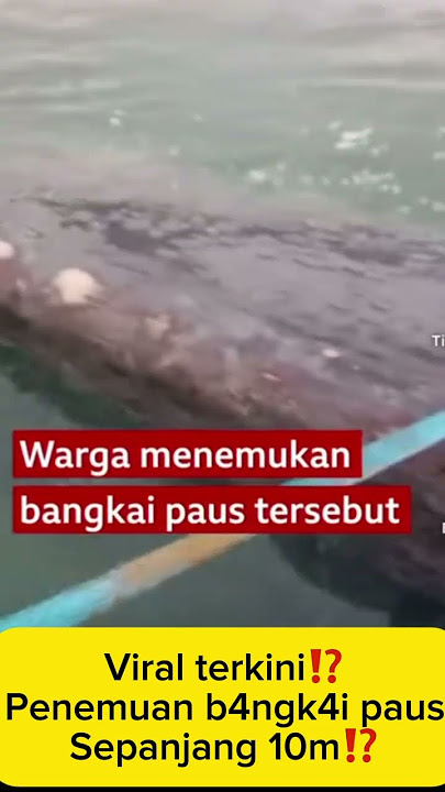 Pen3mu4n bangk4i ik4n p4u5⁉️ #shorts #trending #viral