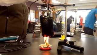 Flaming Cheetos Lab