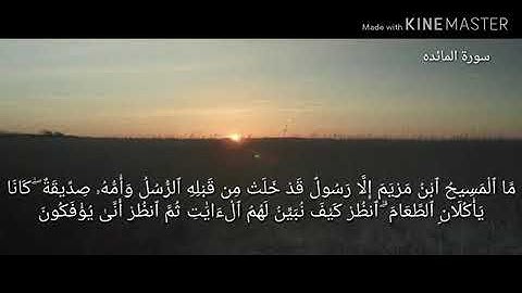 ( أفلا يتوبون إلى الله ويستغفرونه ) ما تيسر من سورة المائدة