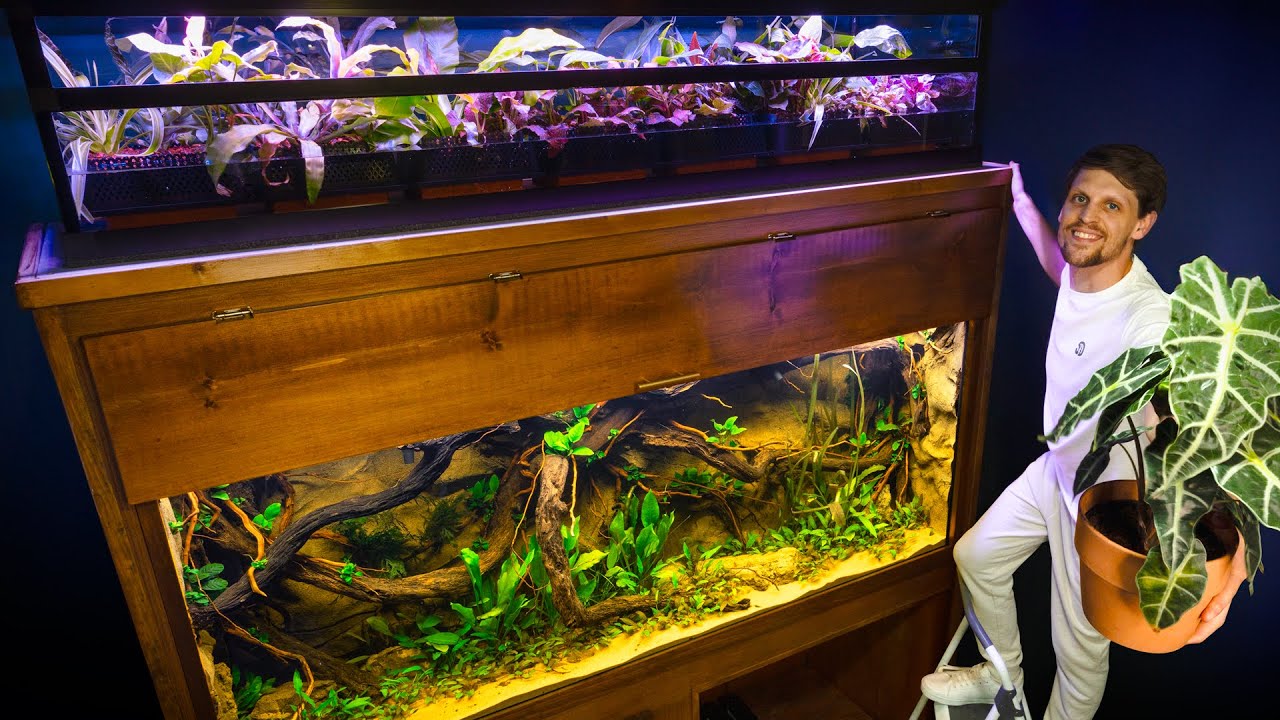 Гидросборник для болотных растений для моего огромного аквариума в стиле джунглей