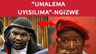 Malema You Are A Fool-Ngizwe Mchunu//UNgizwe Ubize Malema Ngesilima