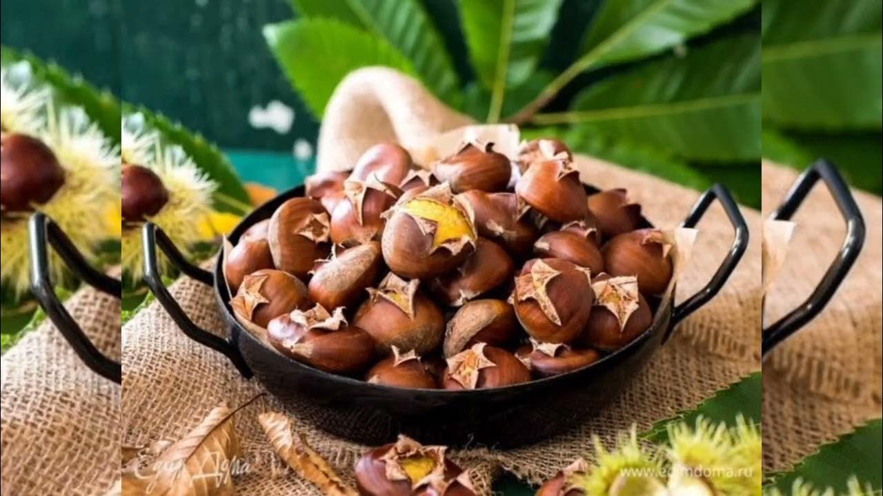 Как очистить каштаны от кожуры. Каштан деликатес. Каштаны едят сырыми. Каштаны едят сырыми. Каштан приготовленный.
