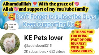 Alhumdulillah 2K subscriber Complete|2k subscribers sepical vedio | @kepetslover8315 by KE Pets lover 70 views 8 days ago 3 minutes, 21 seconds