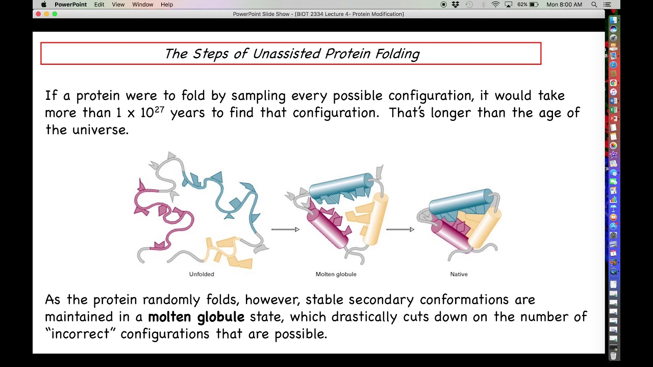 Proteomics Chaperones in Protein Folding YouTube
