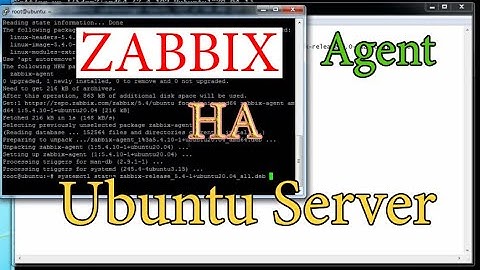 Zabbix Agent на Ubuntu Server Linux