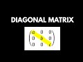 Understanding Diagonal Matrices: Types, Identification & Applications 📊
