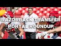 Razorback Transfer Portal Roundup