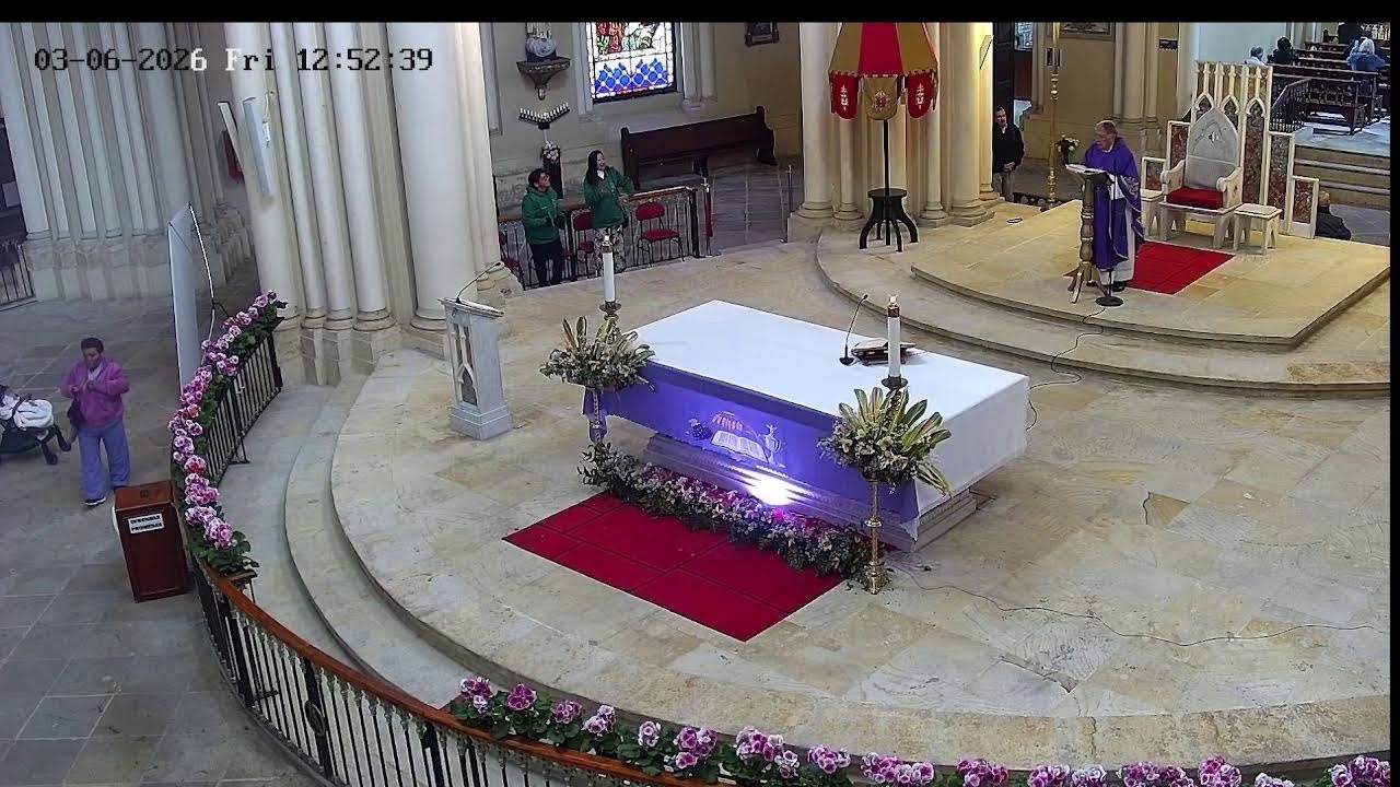 Transmisión Eucaristía Basílica de Lourdes   2026