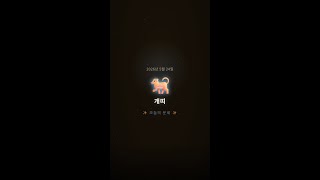 2026년 05월 24일 개띠 오늘의 운세 | Fortune TV
