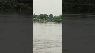 #viral video# braking news bari baris karan bar #viral video#