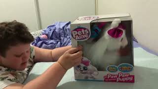 Mukimuki’s Adoption day!!! Unboxing Zuru pets alive, Lil paw paw, My walking pup￼ by Hakas, kittens and more 539 views 1 year ago 7 minutes, 41 seconds