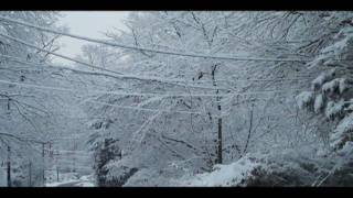 DC Snow Days 2010 - Snowpocalypse Now