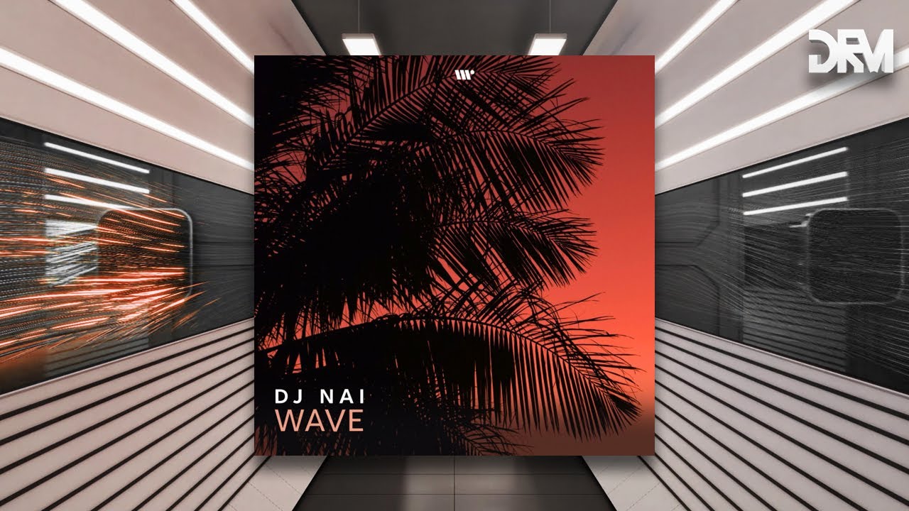 DJ Nai - Wave [DNBB Records]