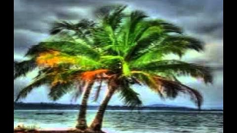 سورة الهمزة بصوت الشيخ/ محمد محمود الطبلاوى