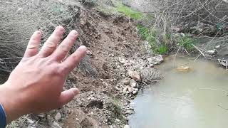 AKARSULARDA VE DERELERDE ALTIN ARAMAK!!!  LOOKİNG FOR GOLD İN STREAMS!!!