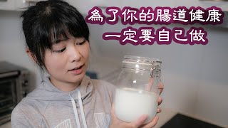 自製酸奶|發酵乳製品|kefir|真正能夠讓腸道系統更健康的酸奶|你買的酸奶可能和冰淇淋一樣對健康無益