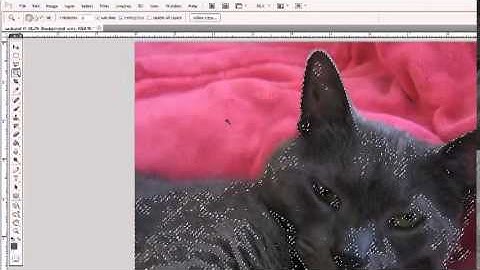 photoshop selection tools 008 magic wand add