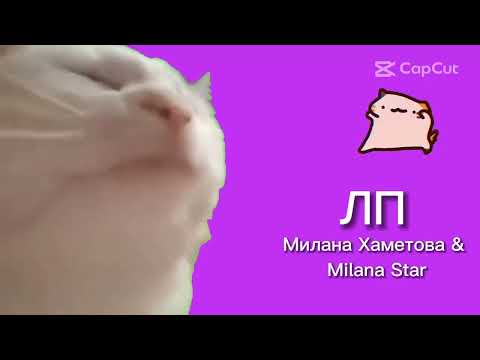 Teh Poci Teh Pucuk | Лп - Милана Хаметова x Milana Star