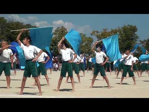 運動会小学校5年生ここあ80m走