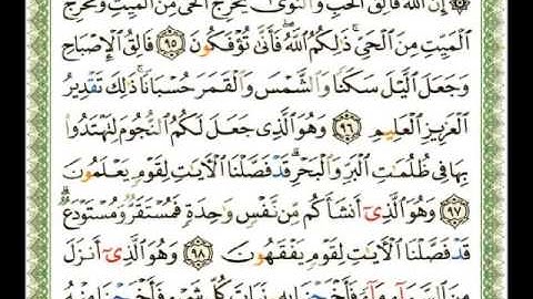 006   سورة الأنعام   شيرزاد عبد الرحمن طاهر