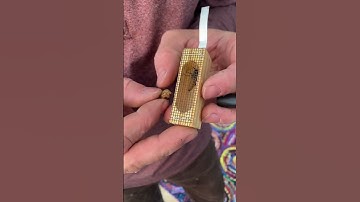 Beekeeping 101- Installing a new Queen